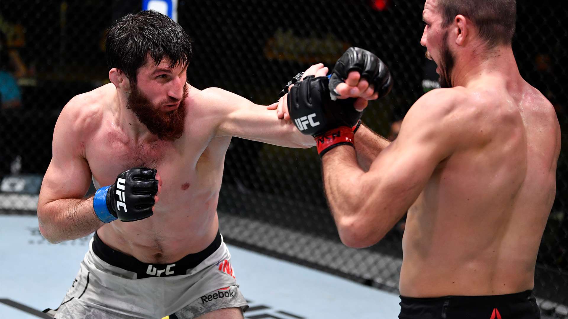 的国际赛场 的国际赛场