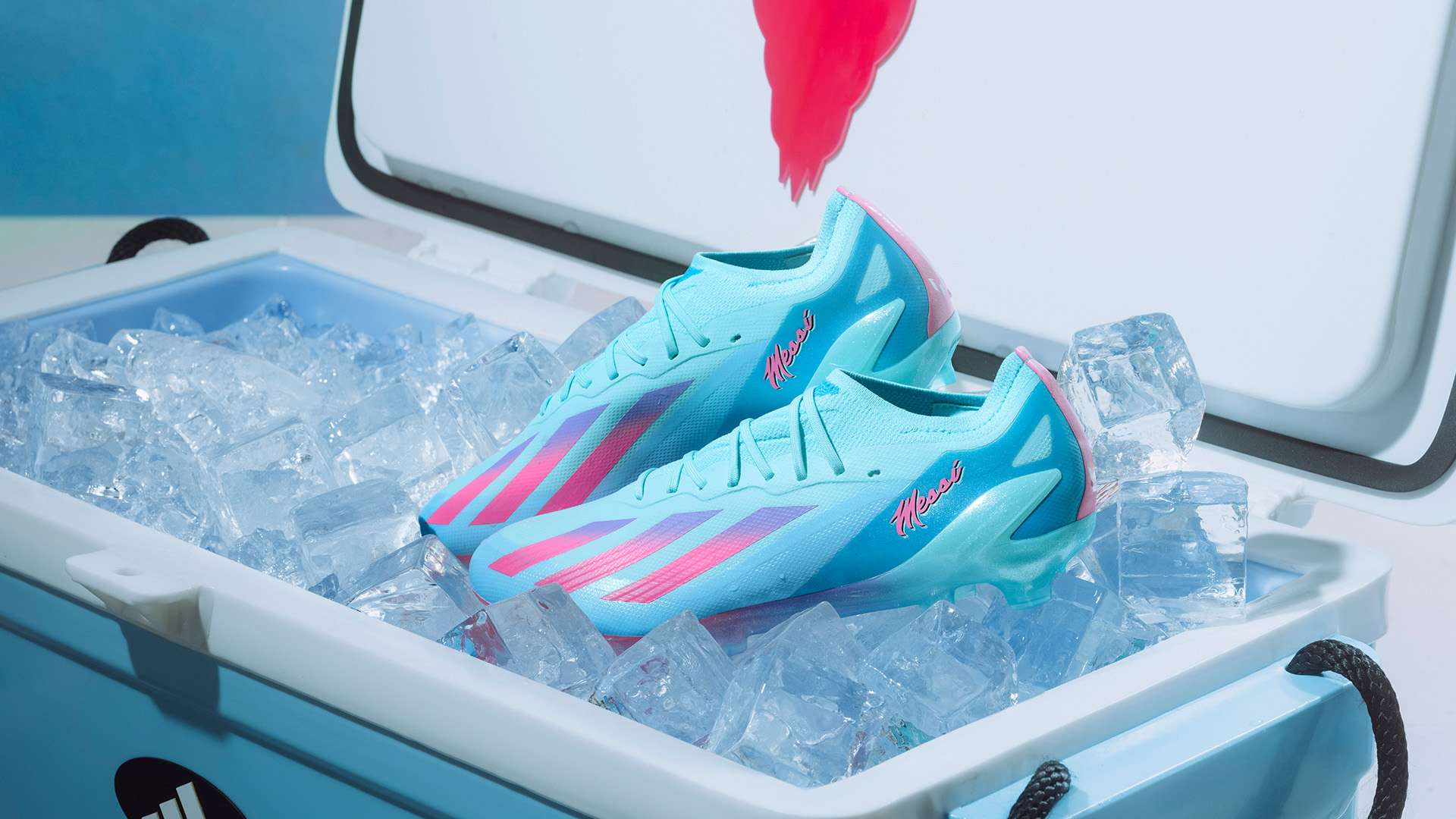 却因为场边 却因为场边